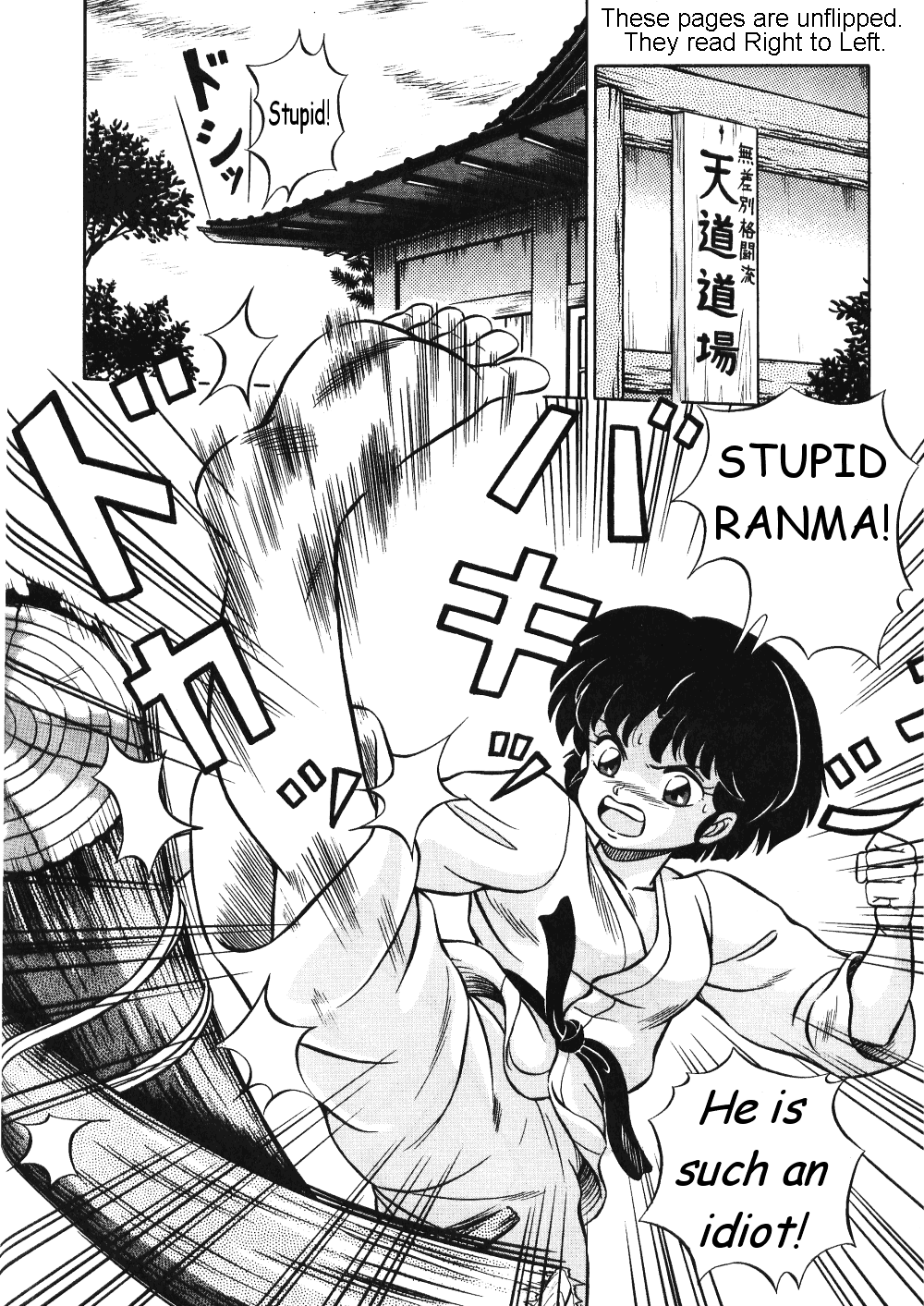Akane no Baka + Neko wa Kimagure | Stupid Akane + Whimsical Kitty page 2 full