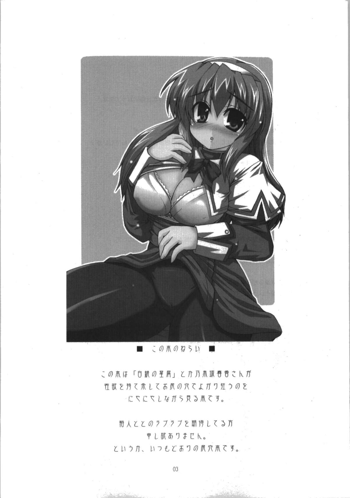 Haruka Secret Service page 3 full