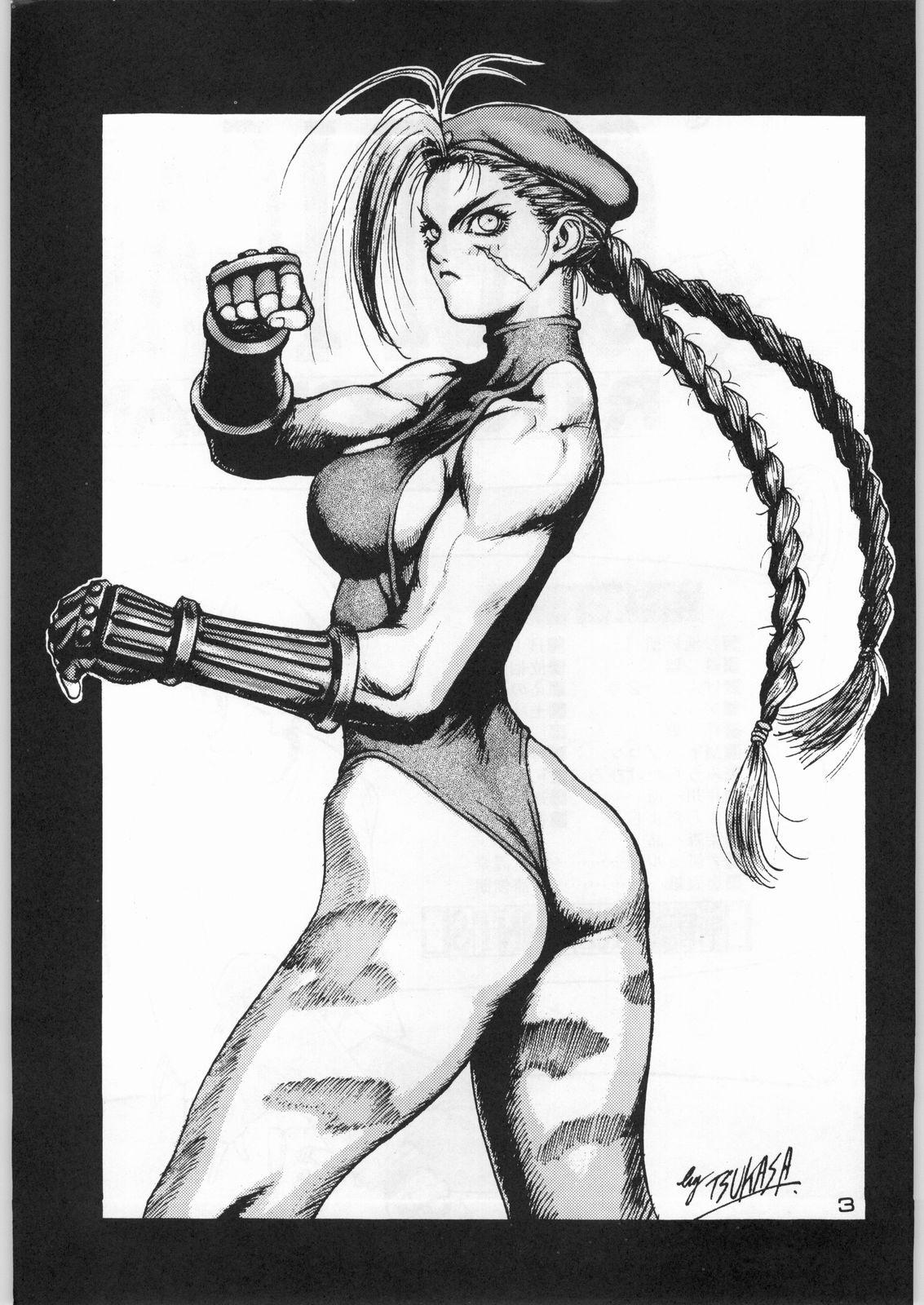 Huge Strret Fighter Gallery page 12 full