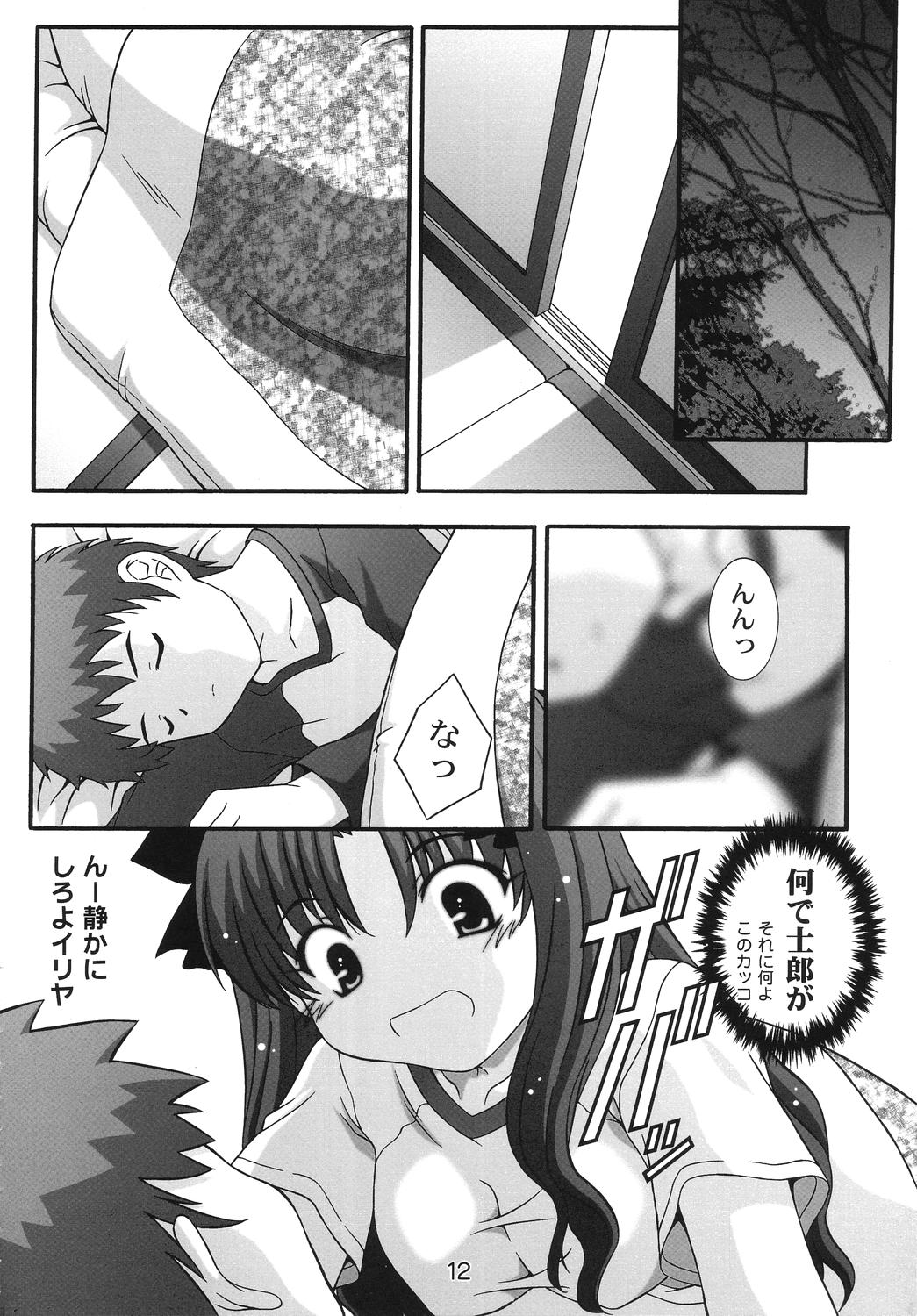 SECRET FILE NEXT 11 - Fate is capricious page 11 full