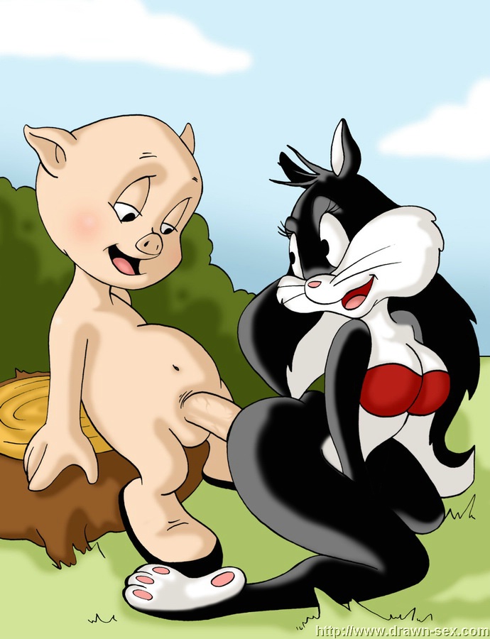 Luny Tunes Cartoon Porn - drawn sex present looney tunes - Page 12 - HentaiEnvy