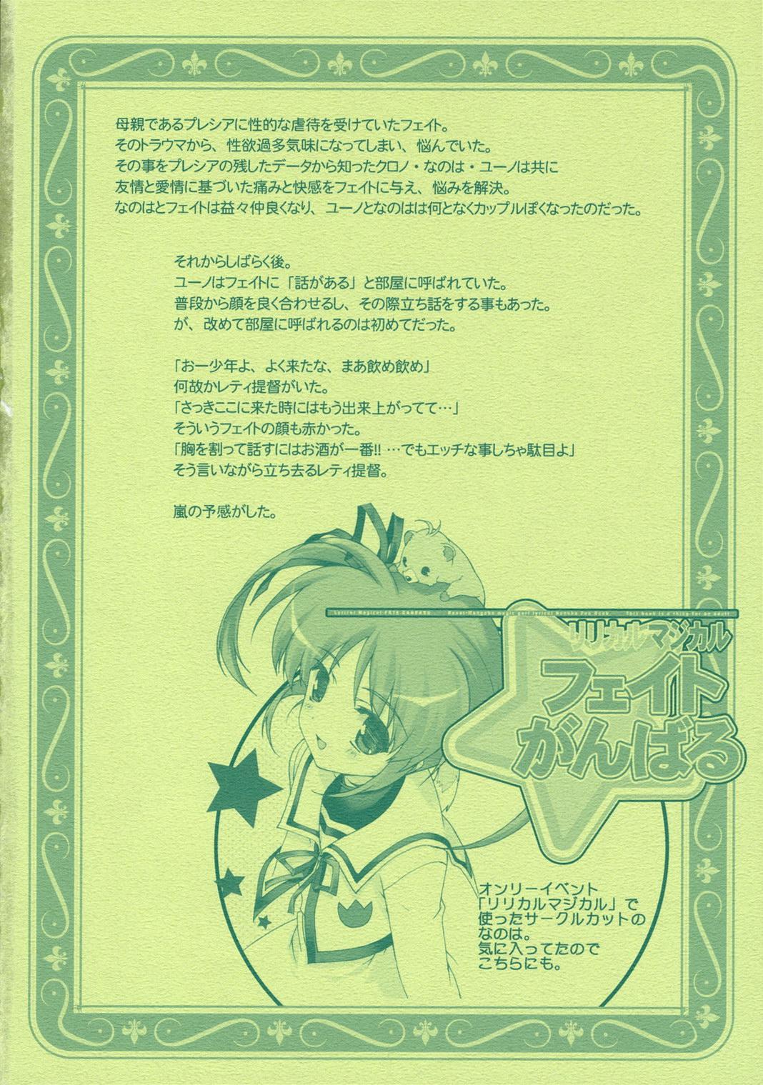 Lyrical Magical Fate Ganbaru page 2 full