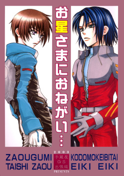 Gundam Seed DJ Ohoshisama ni Onegai