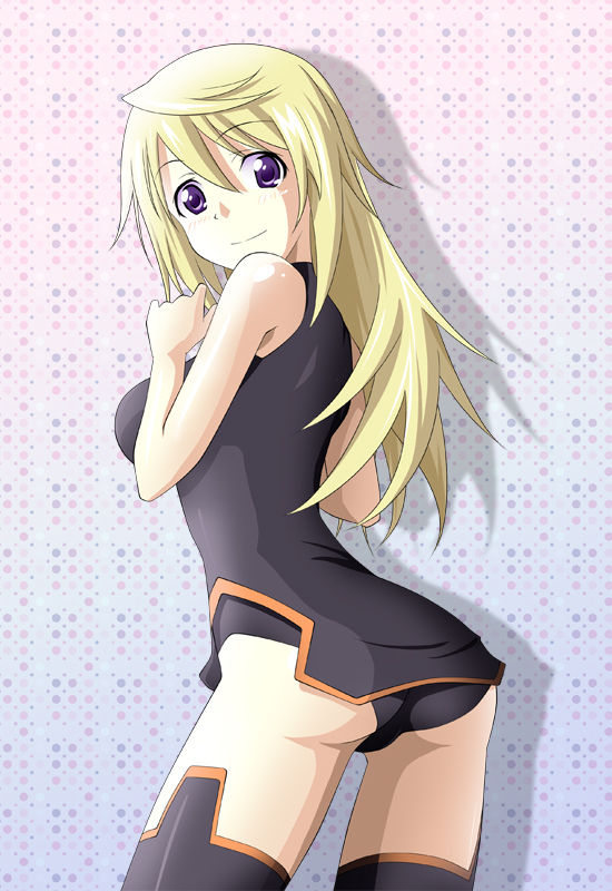 Infinite Stratos Pack 02 page 11 full