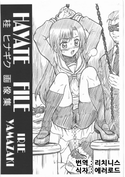 HAYATE FILE Katsura Hinagiku Gazoushuu