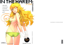 IN THE HAREM A SIDE | En el Harem - Parte A