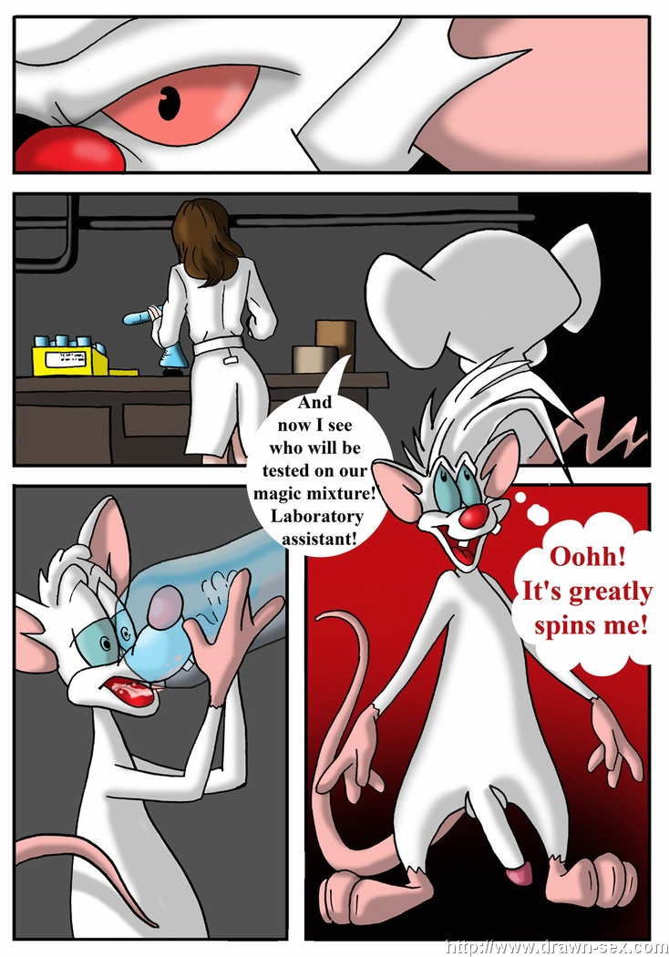 Pinky and the Brain page 3 full