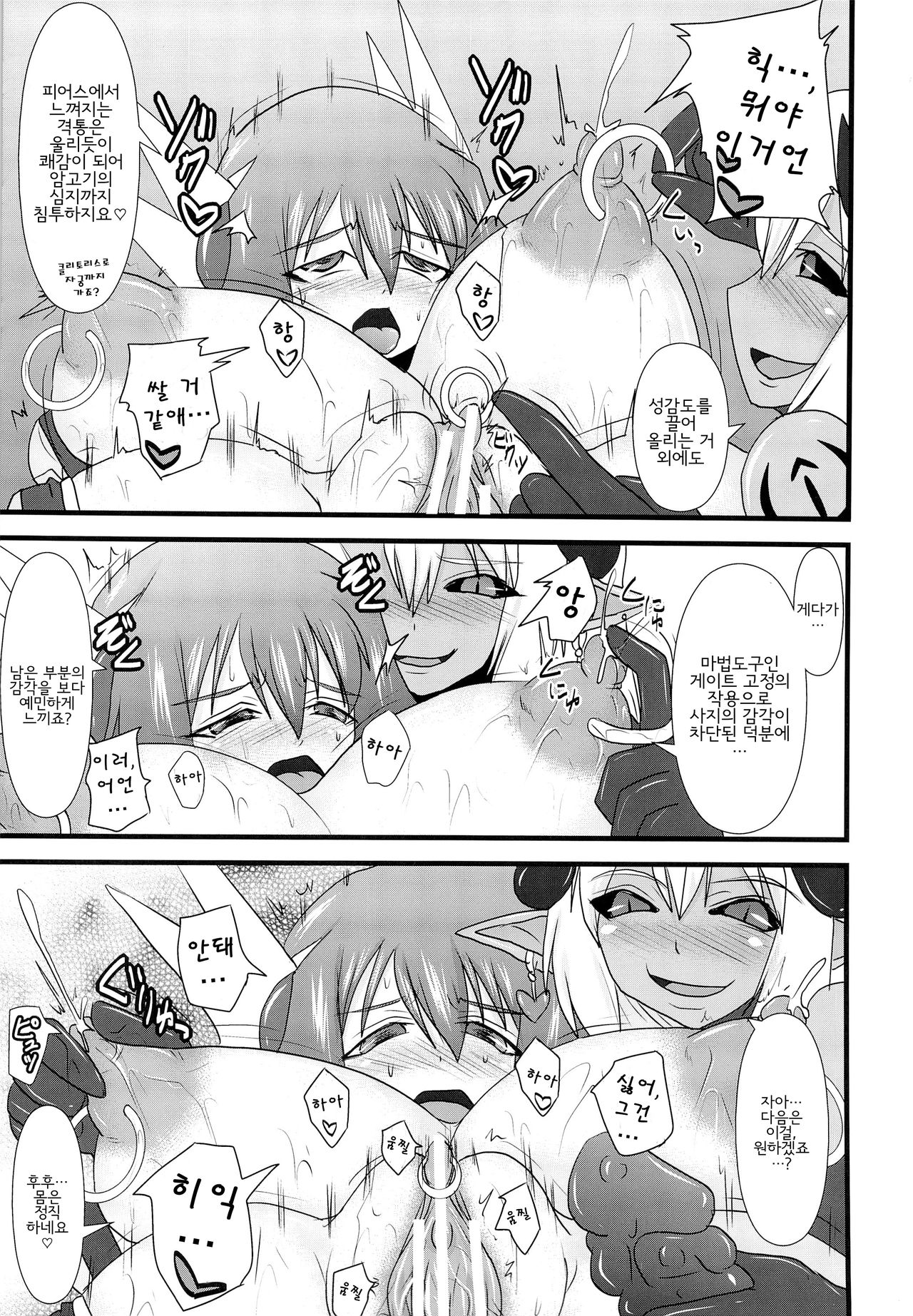 Shield Knight Elsain Vol.13 Succubus Flirtation page 12 full