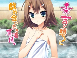 Hideyoshi to Nengoro ni Zareaitaki Mono Senyou.