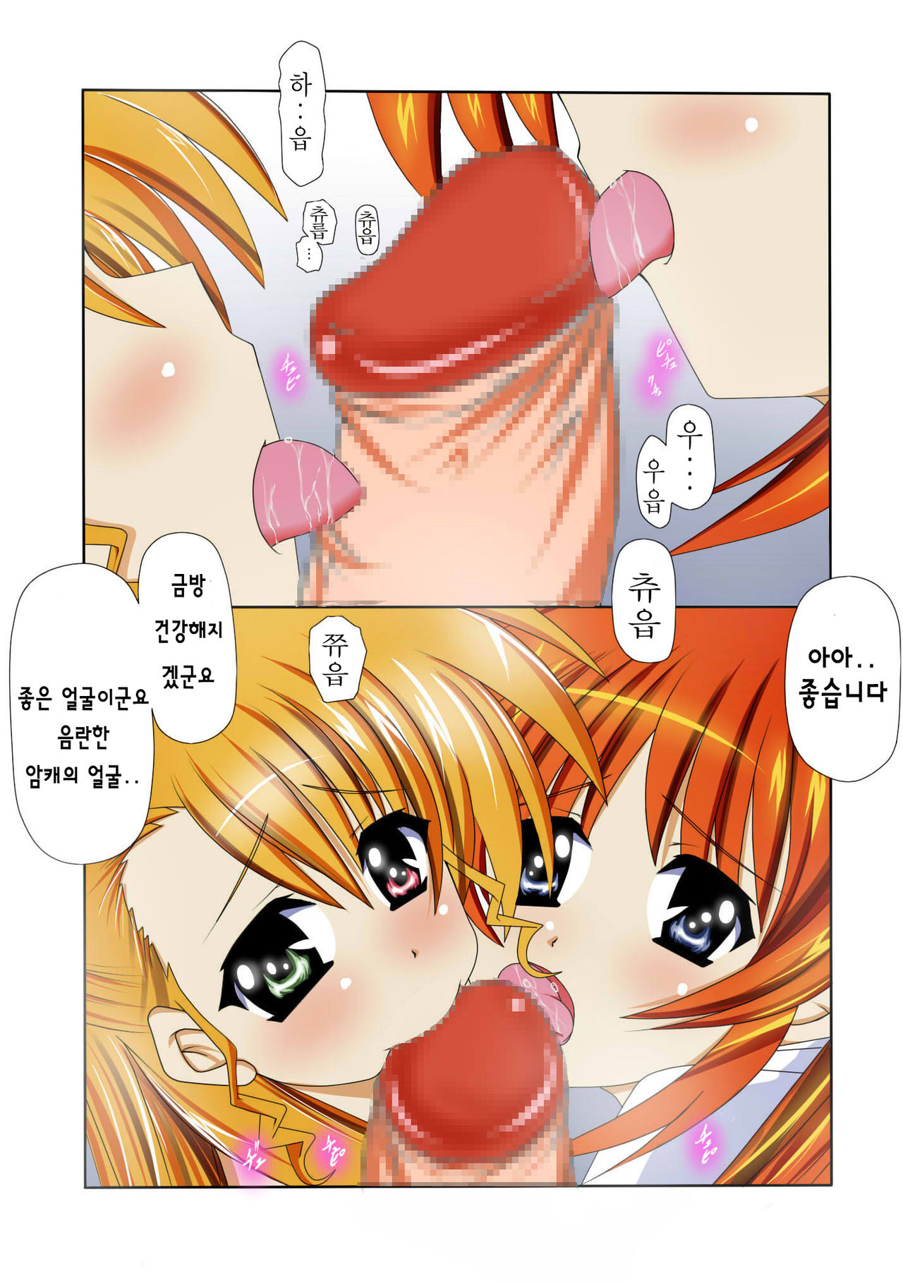 Mahou Shoujo Lyrical na Echii Hon 8 page 12 full