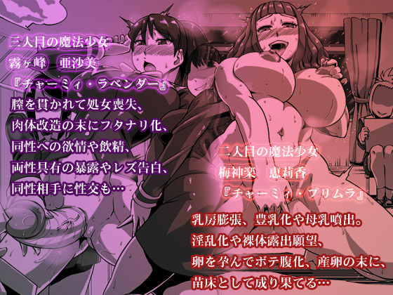 Ryoujoku Mahou Shoujo "Charmy Servants" page 3 full