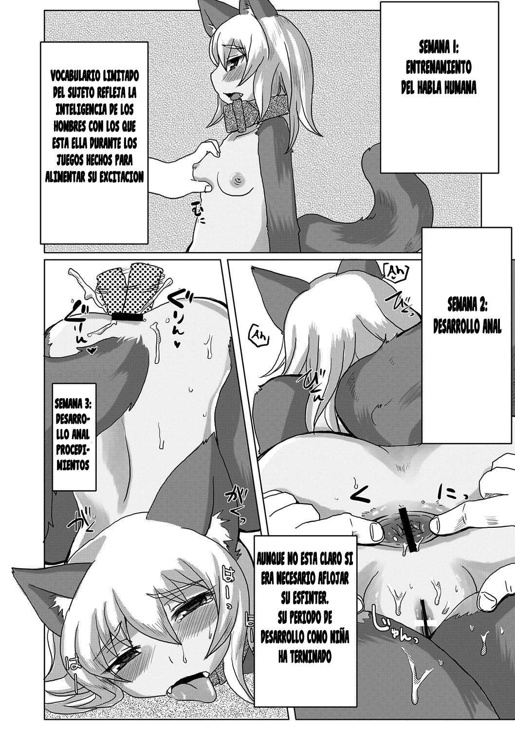 11-banme no Homunculus | The 11th homunculus experience page 10 full
