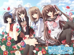 Oretachi Ni Tsubasa Wa Nai AfterStory -Limited Edition-